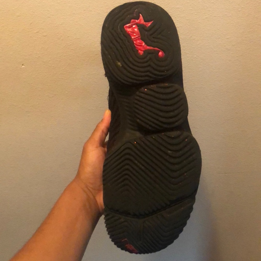Lebron - Picture 4 of 5